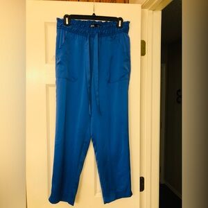 Zara Royal blue pull on silk like pants. Size small Front pockets.